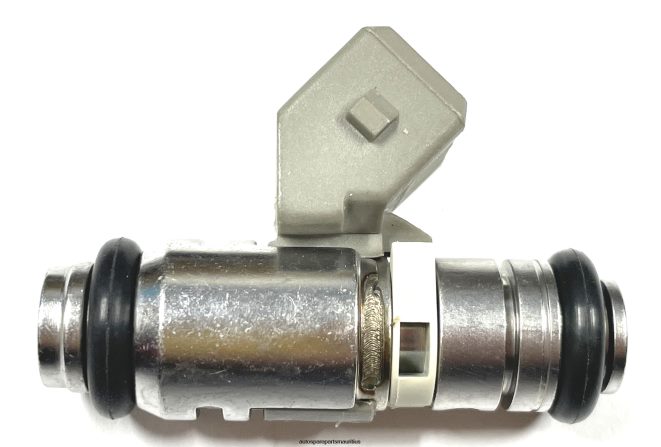 66TR0T1843 - Vehicle Parts Suppliers CITROEN Fuel Injector IWP049