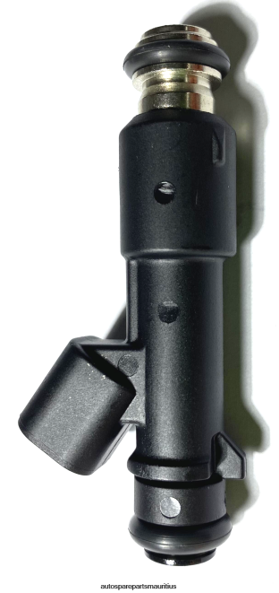 66TR0T2005 - Echt Auto Parts MauritiusFuel Injector 96493843 1571085Z10
