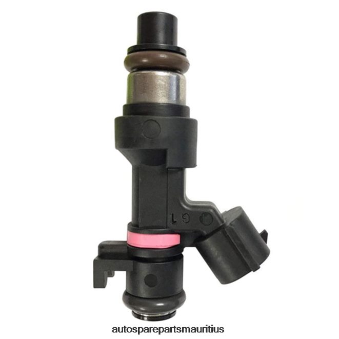 66TR0T95 - Echt Auto Parts Mauritius RENAULT 166006863R Fuel Injector