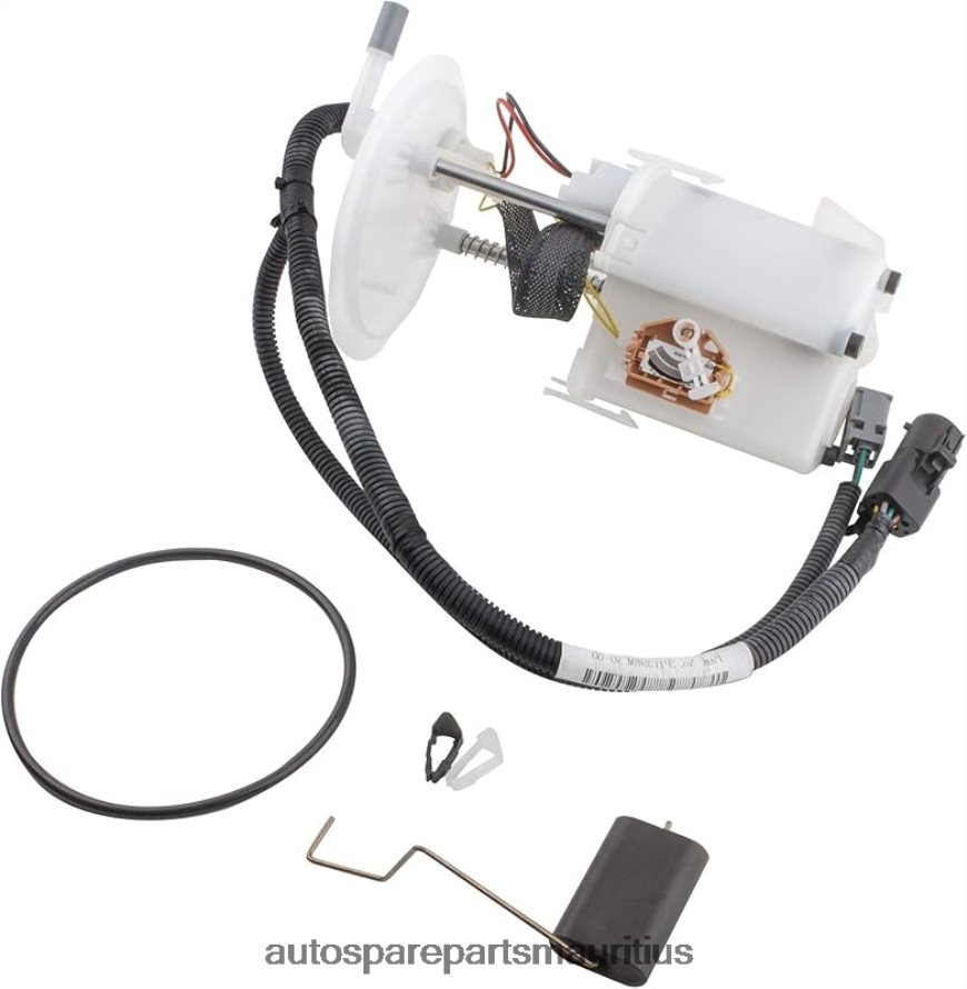 Fuel Pump Module E2313M FG0966 2F1Z9H307CA for Ford H4NT2F770 - Auto Parts Wholesale Suppliers