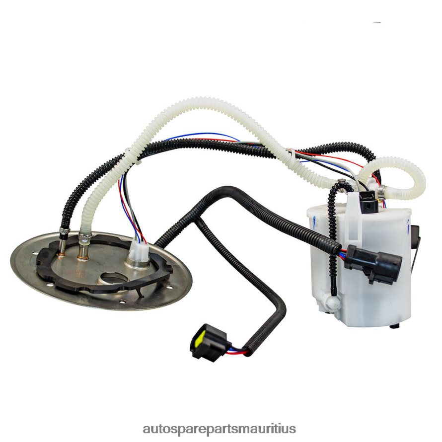 Fuel Pump Module E2438M P76398M TU265 6C3Z9H307AD for Ford H4NT2F780 - Auto Parts Wholesale Suppliers