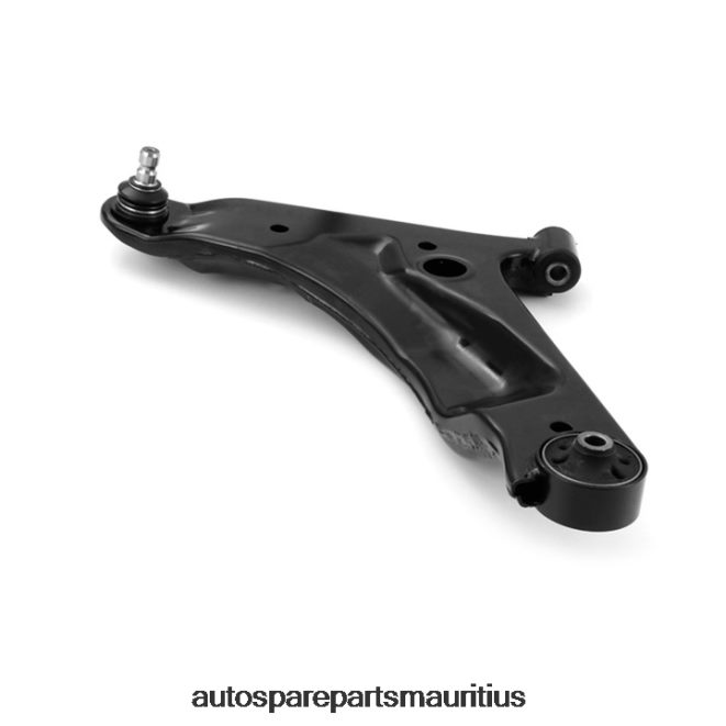 66TR0T1065 - Echt Auto Parts Mauritius HYUNDAI Control Arm 54500-0X000