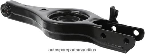 XF4T3081 Hyundai Control Arm 55210-2S200 - Auto Parts Wholesale Online