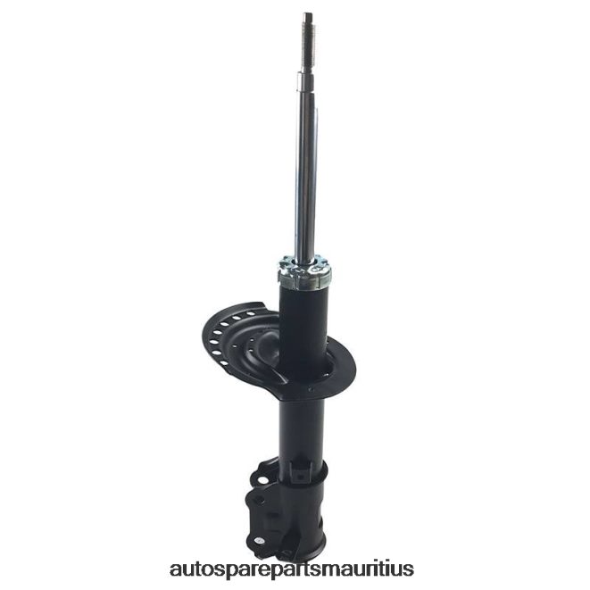 66TR0T13 - Vehicle Parts Suppliers HYUNDAI Shock Absorber Fits Front 338107