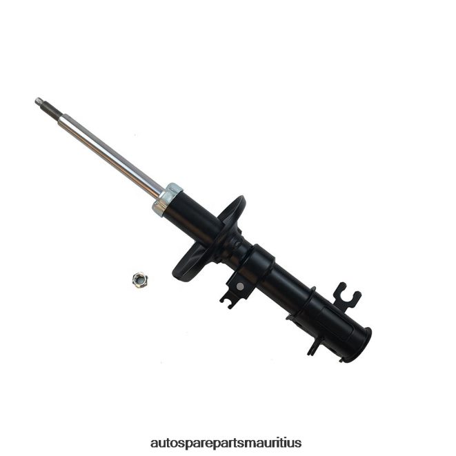 66TR0T25 - Echt Auto Parts Mauritius CHEVROLET Shock Absorber Fits Front 333417