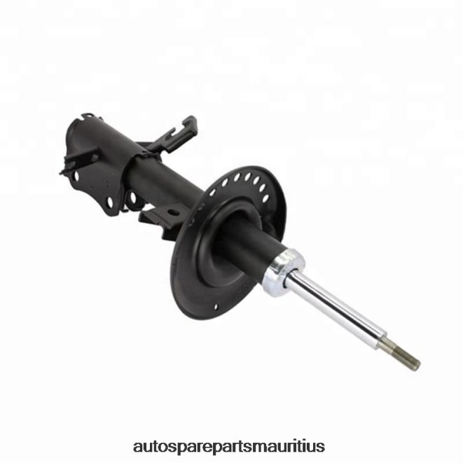 66TR0T63 - Vehicle Parts Suppliers NISSAN Shock Absorber Fits Front 333604