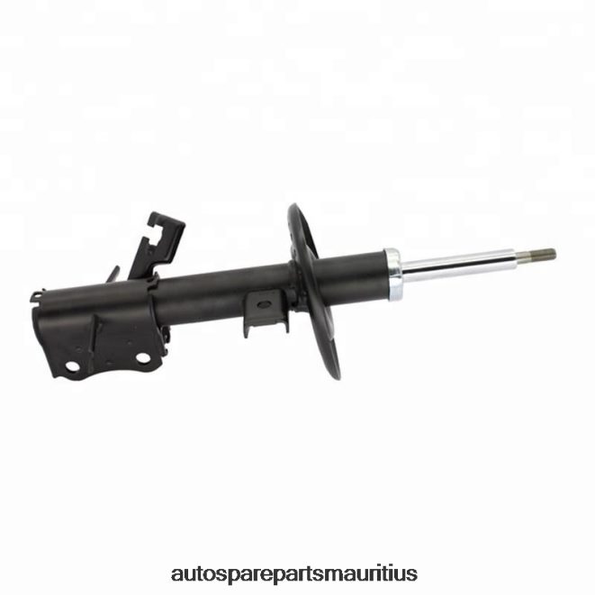 66TR0T63 - Vehicle Parts Suppliers NISSAN Shock Absorber Fits Front 333604