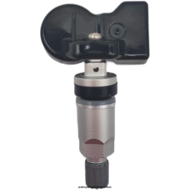 TPMS SAIC Datsun Tire Pressure Sensor C00104713 242N2631 - Vehicle Parts Suppliers