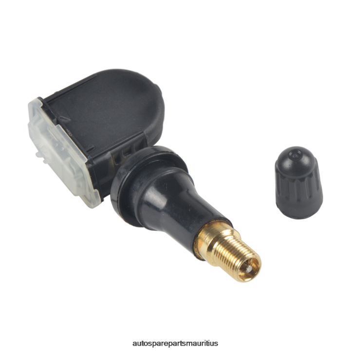 TPMS Southeast Tire Pressure Sensor 25M01A031A 242N2588 - Auto Parts Wholesale Suppliers